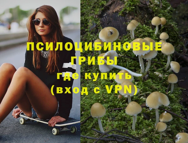 таблы Дмитров