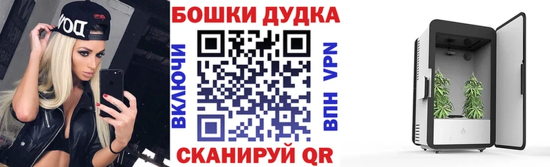 даркнет официальный сайт  ОМГ ОМГ ссылки  Новая Ладога  МАРИХУАНА тримм 